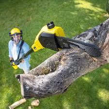 Best Leaf Removal  in Weaver, AL