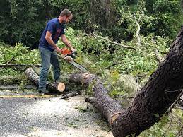 Best Seasonal Cleanup (Spring/Fall)  in Weaver, AL