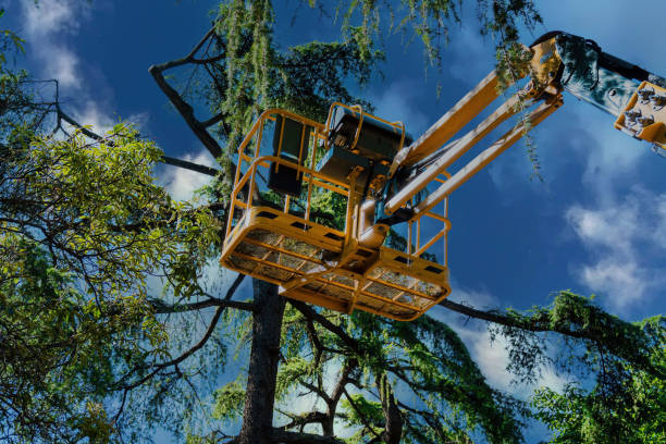 Best Commercial Tree Services  in Weaver, AL