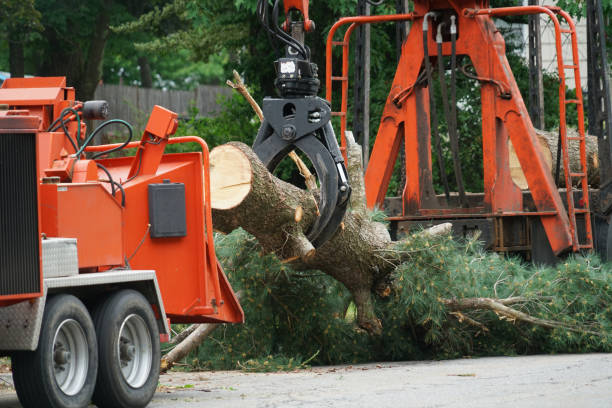 Best Hazardous Tree Removal  in Weaver, AL